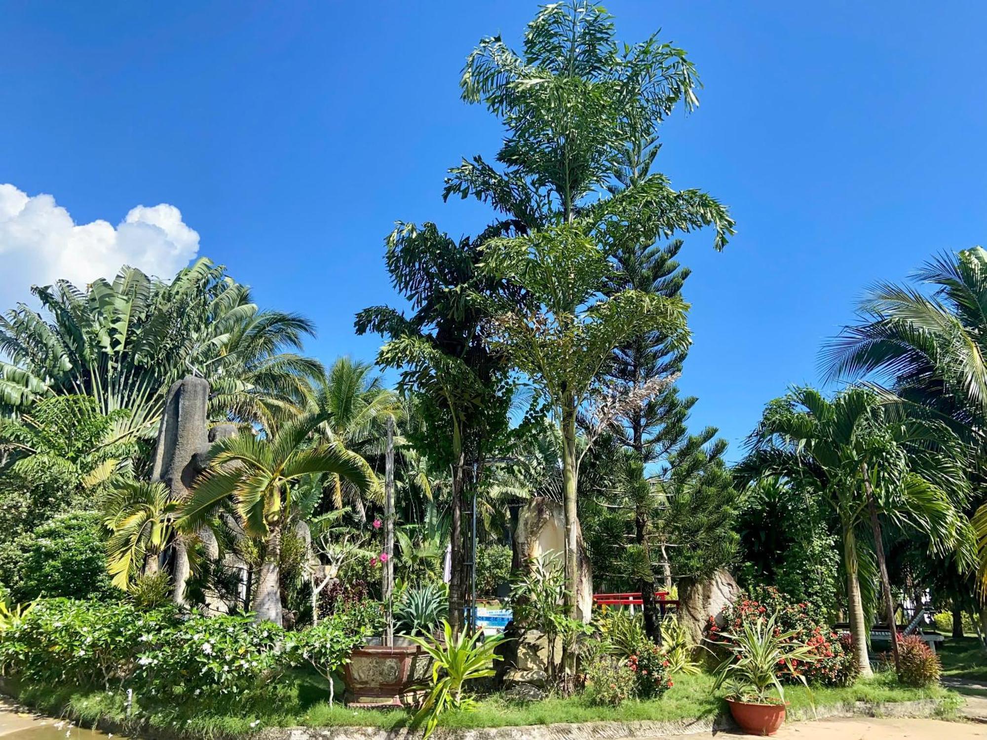 Y Nghia Bungalow Ong Lang Villa Phu Quoc Exterior foto