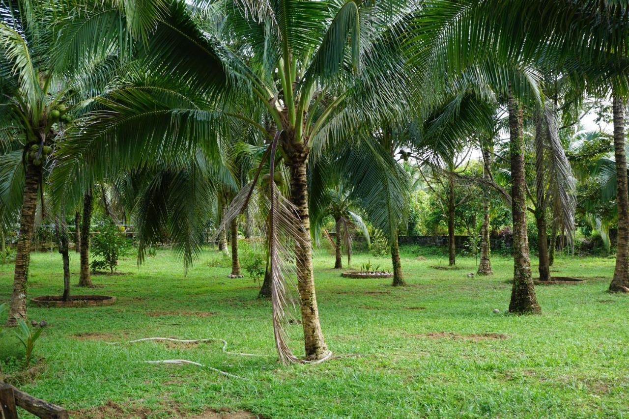 Y Nghia Bungalow Ong Lang Villa Phu Quoc Exterior foto